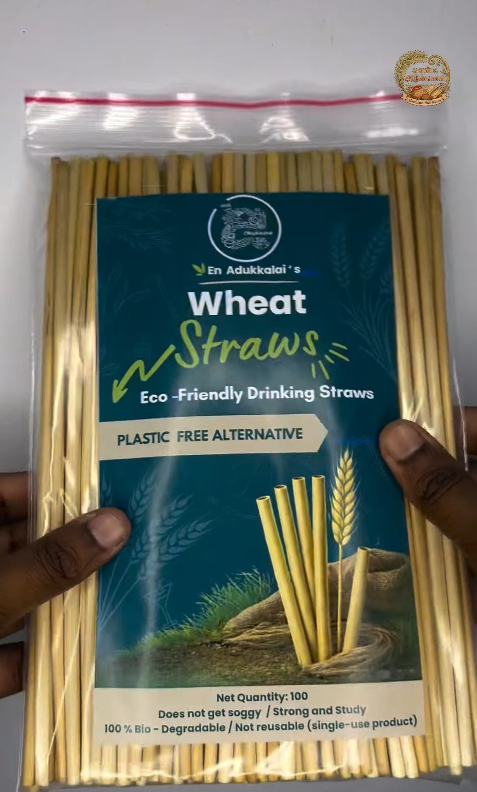 Wheat Straw Eco-Friendly Drinking Straws | Reusable & Biodegradable Straw Set