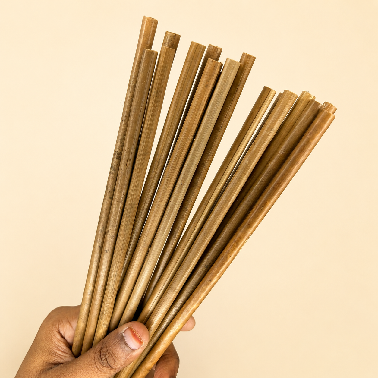 Coconut Leaf Straw (50 Nos)