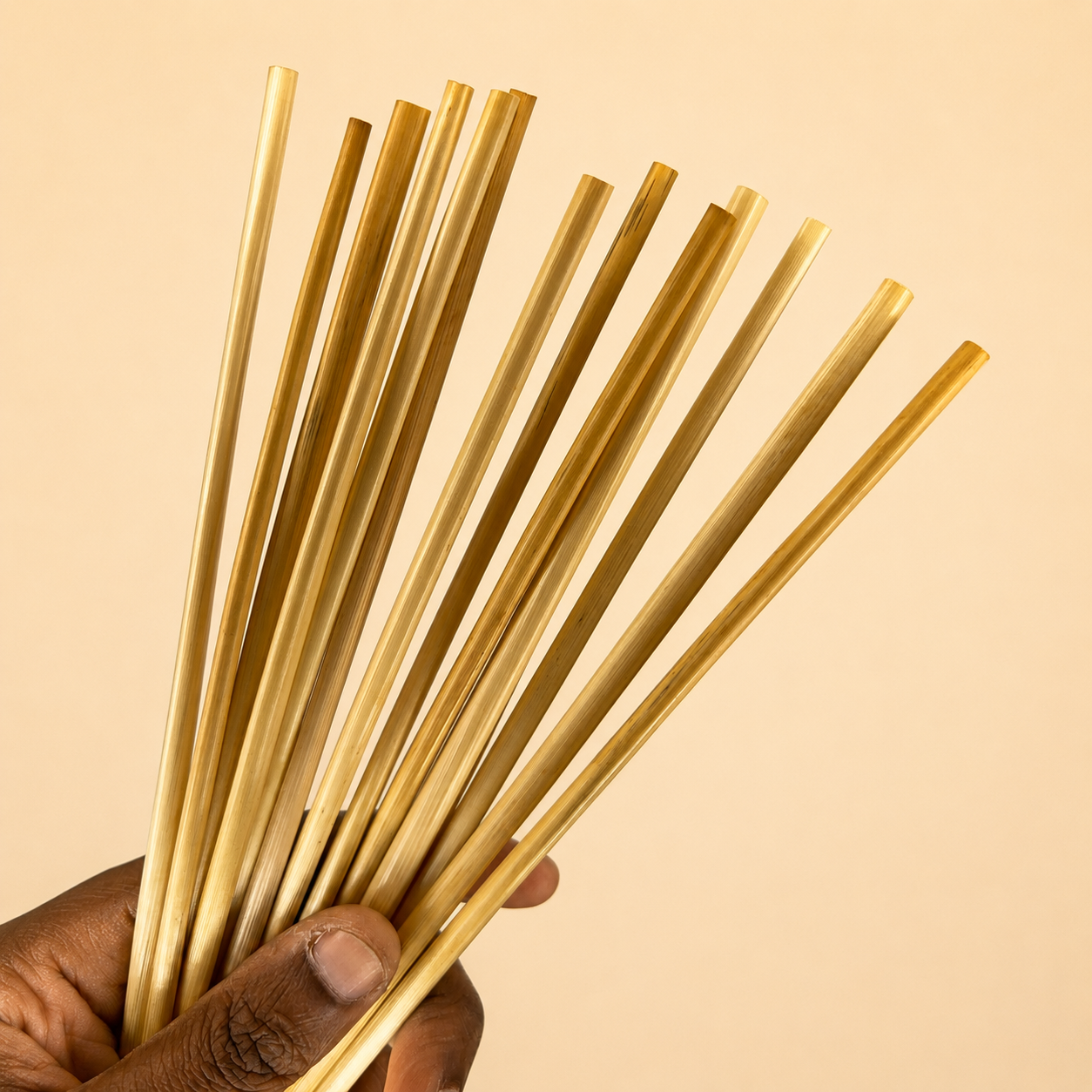 Wheat Straws (100 Nos)