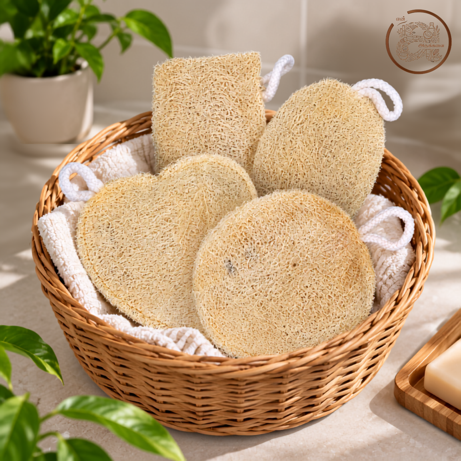 Ridge Gourd Body Scrubber - Pack of 4